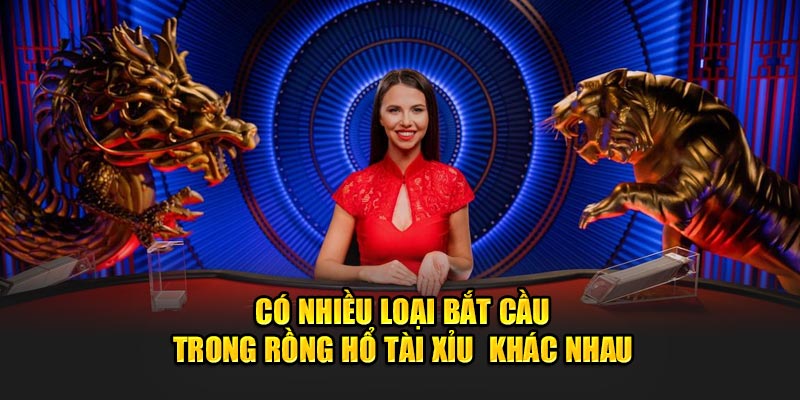 Có nhiều loại bắt cầu trong Rồng Hổ Tài Xỉu khác nhau